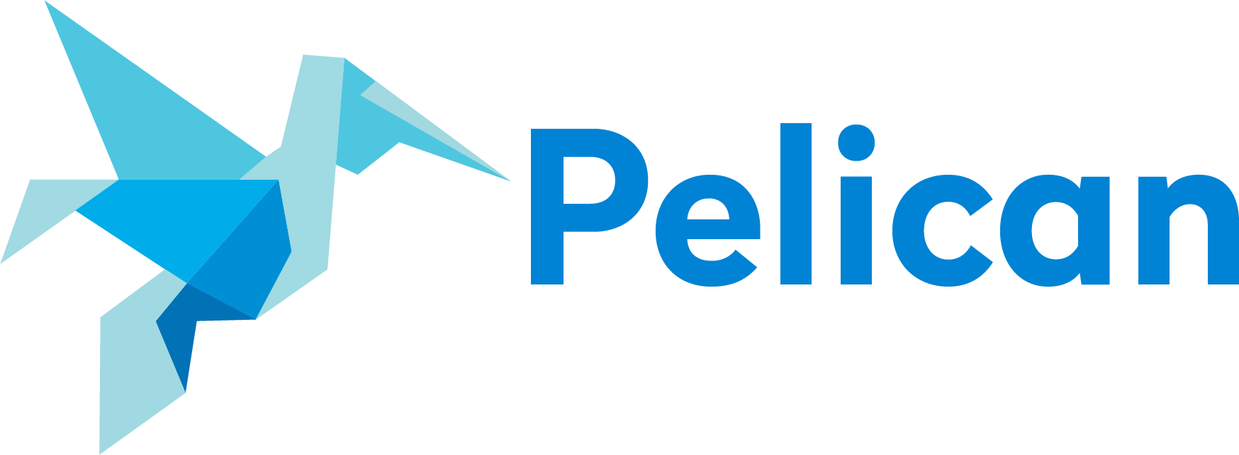 pelican healthcare logo